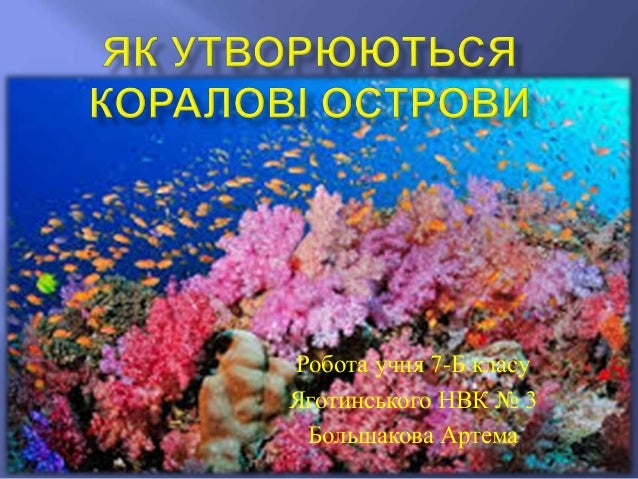 Презентацию на тему як утворюються коралові острови
